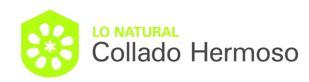 Imagen Logotipo Lo Natural